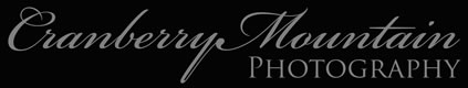 Cranberry Mountain Photography